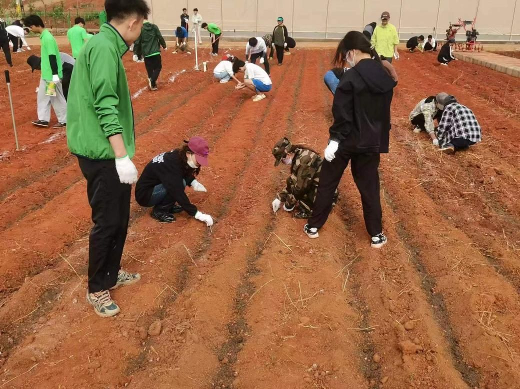 1a179a545868a930653af181833dc39